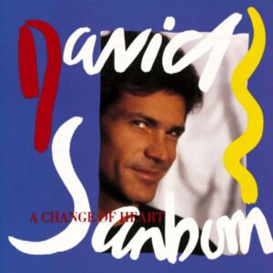 David Sanborn, A Change Of Heart - LP
