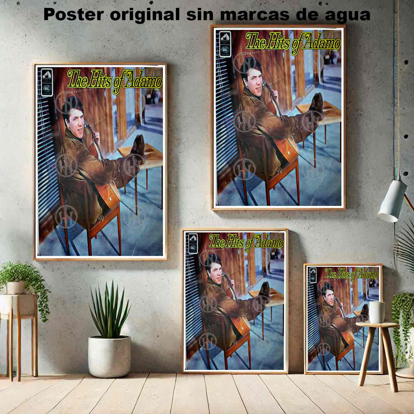 Adamo Póster: imagen 5