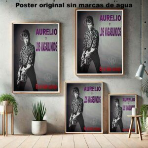 Aurelio y Los Vagabundos Póster: imagen 5