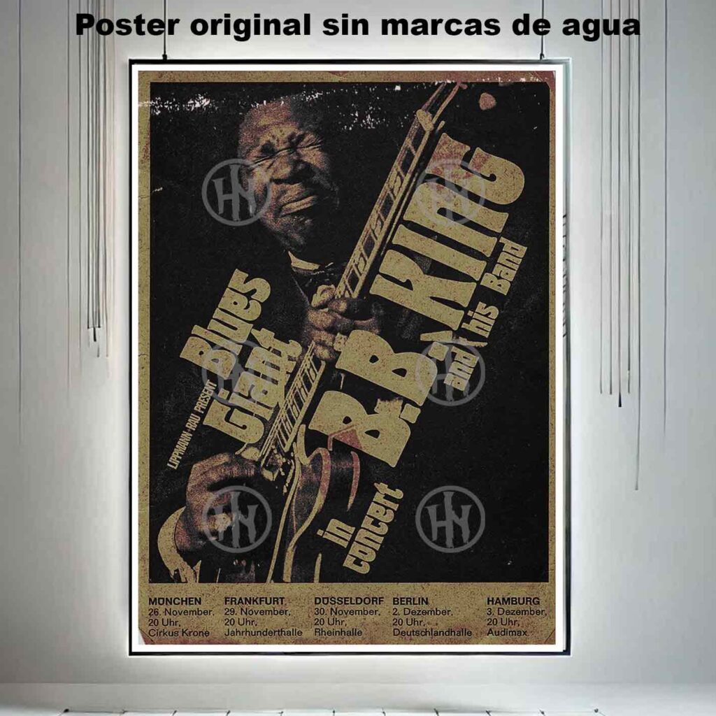 BB King and his band Póster