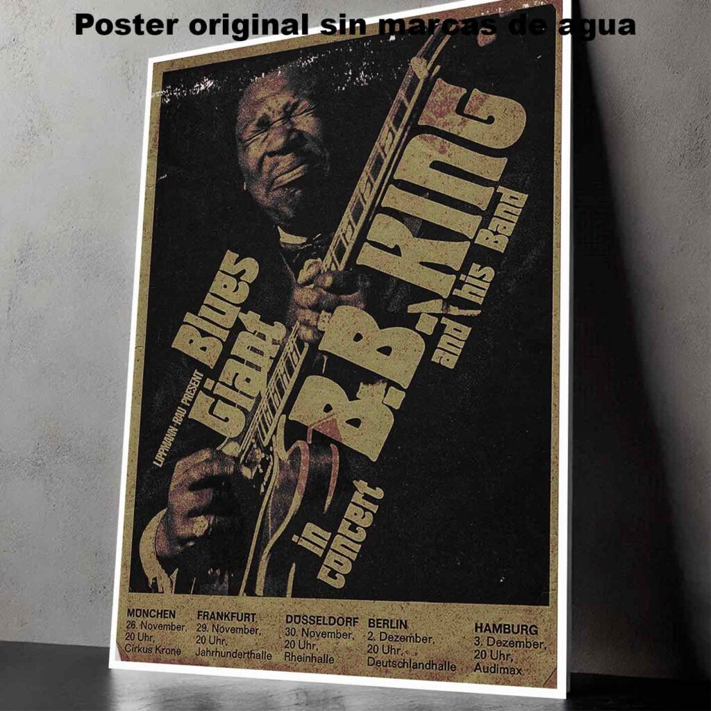 BB King and his band Póster