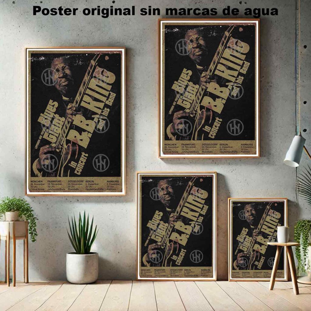BB King and his band Póster