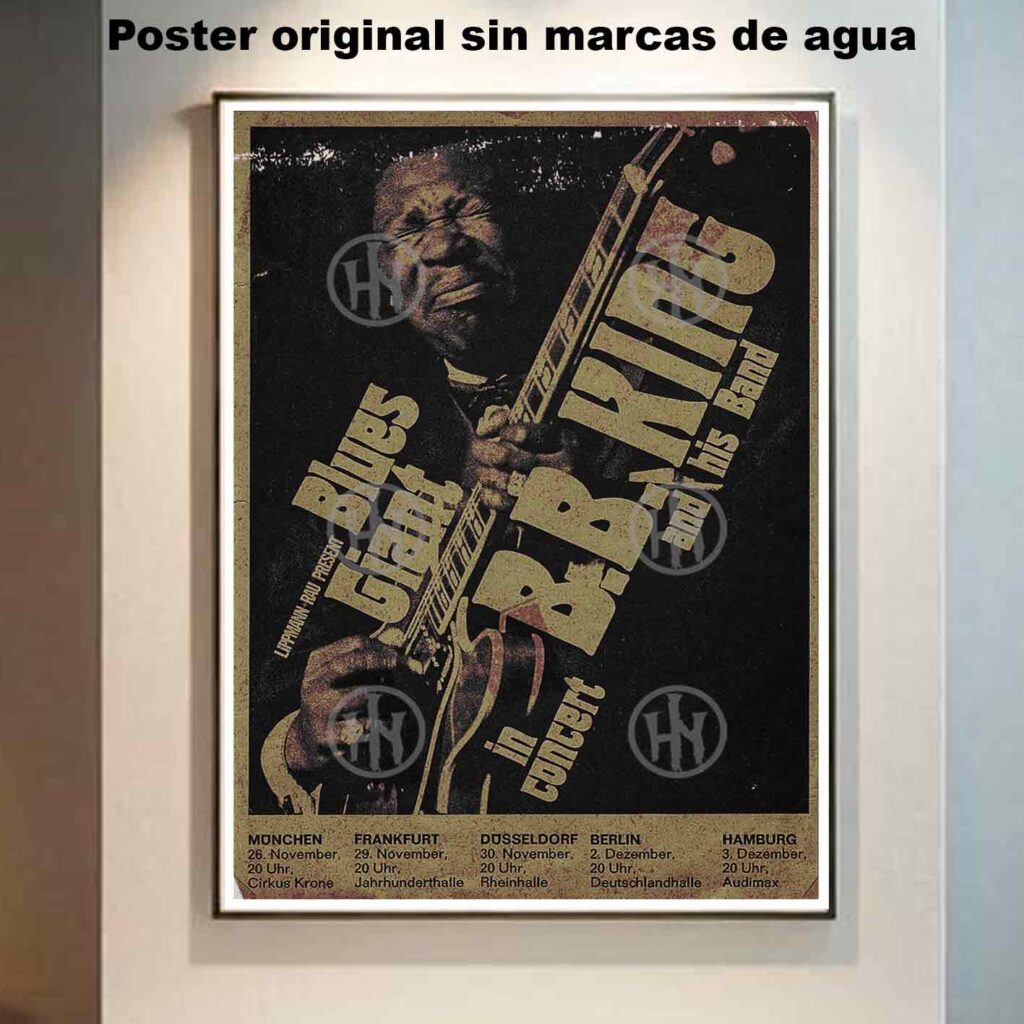 BB King and his band Póster