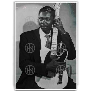BB King young Póster