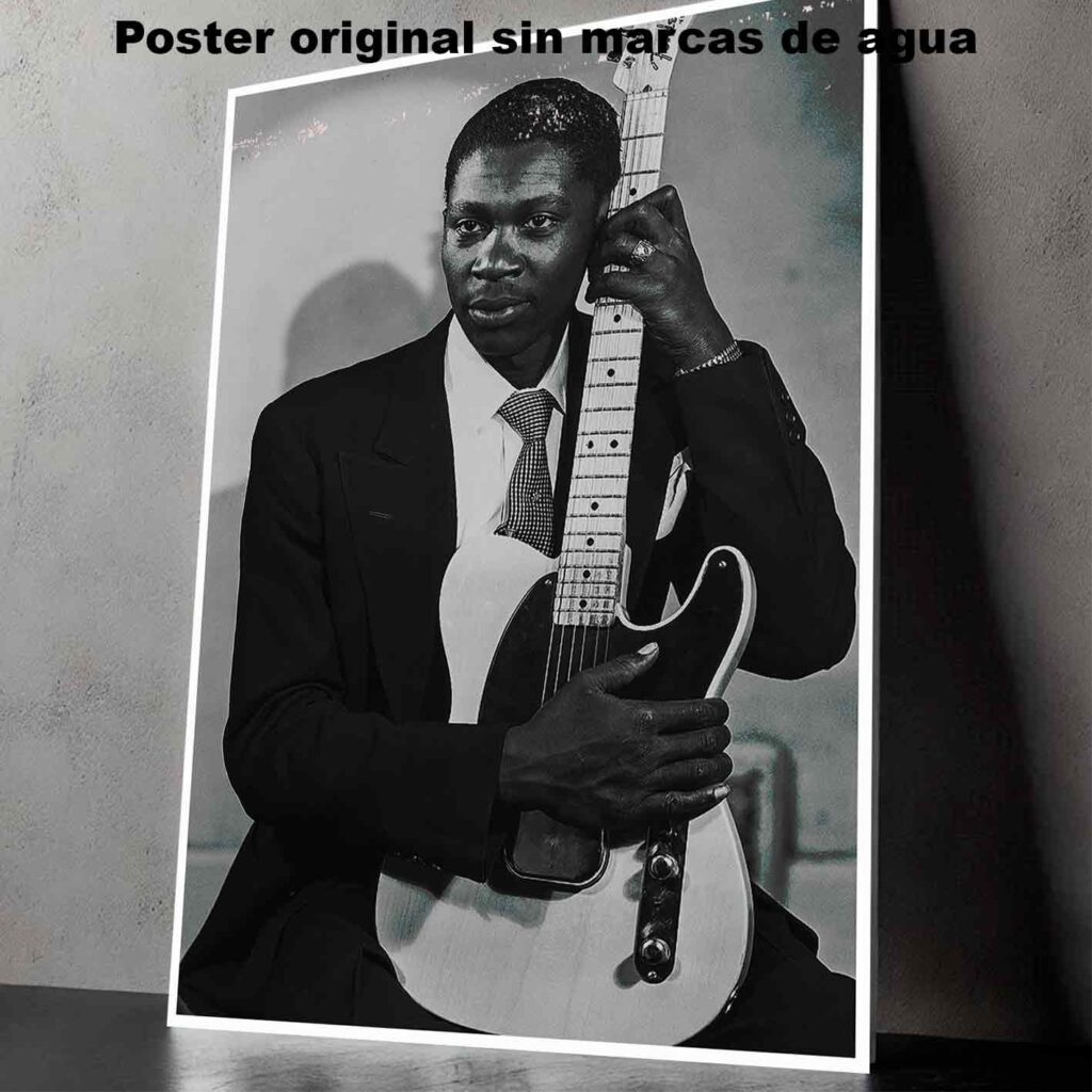 BB King young Póster