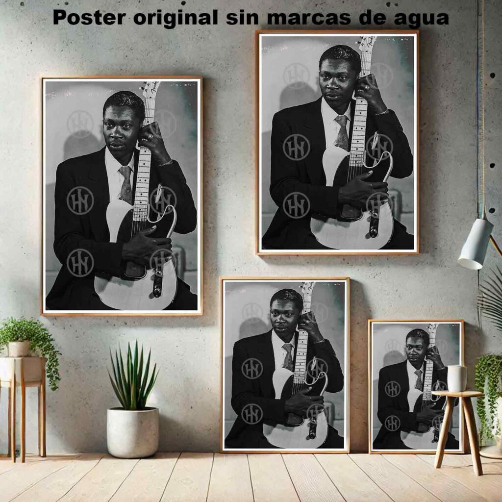 BB King young Póster