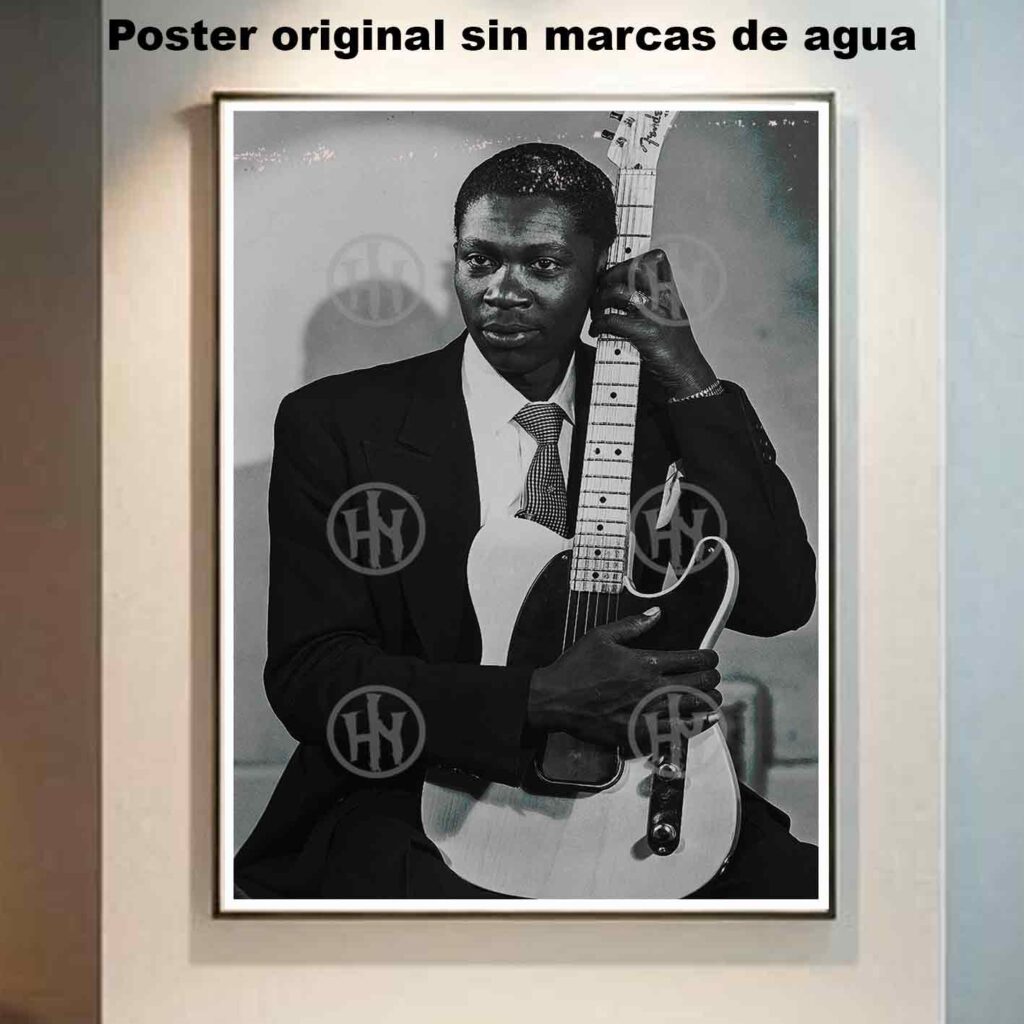 BB King young Póster