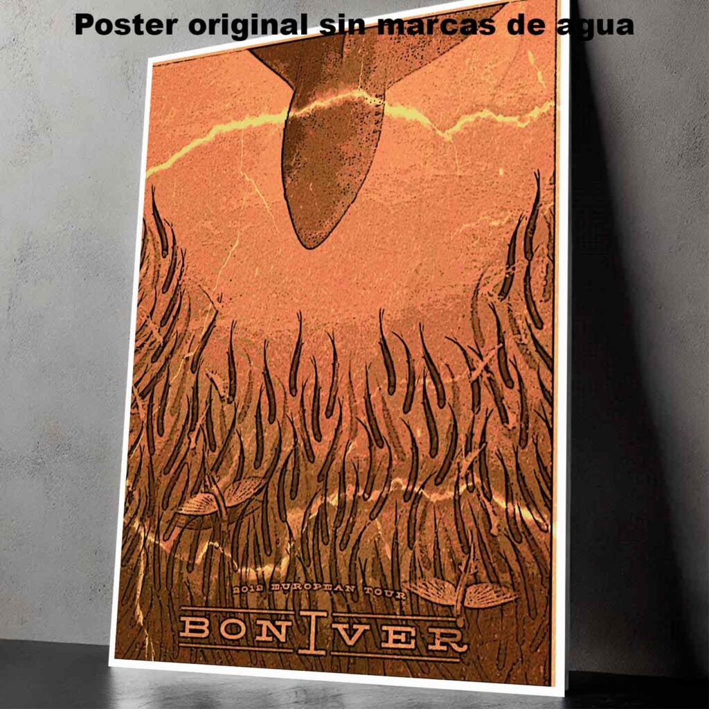 Bon Iver Póster