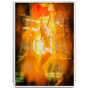 Brandi Carlile Póster