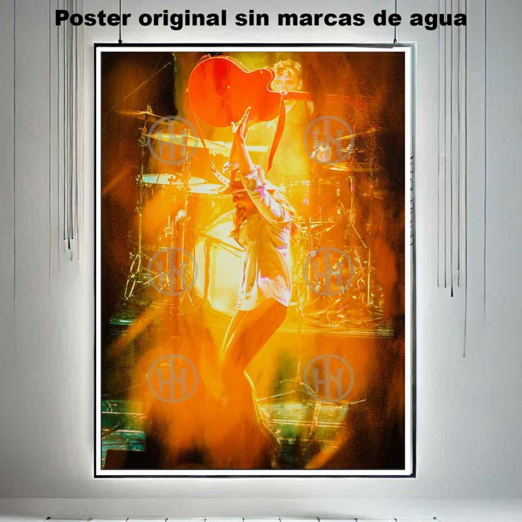 Brandi Carlile Póster