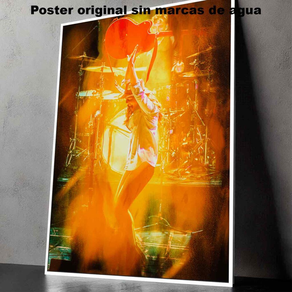 Brandi Carlile Póster