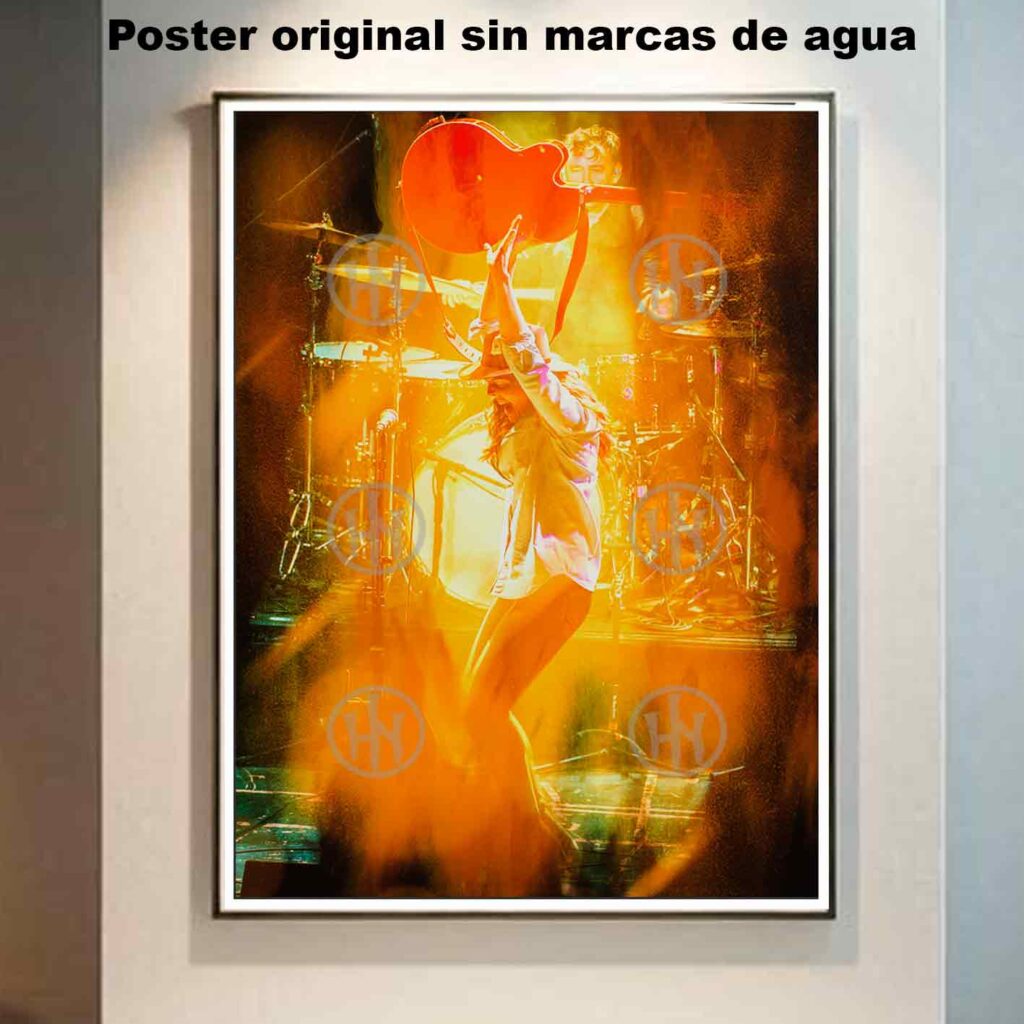 Brandi Carlile Póster
