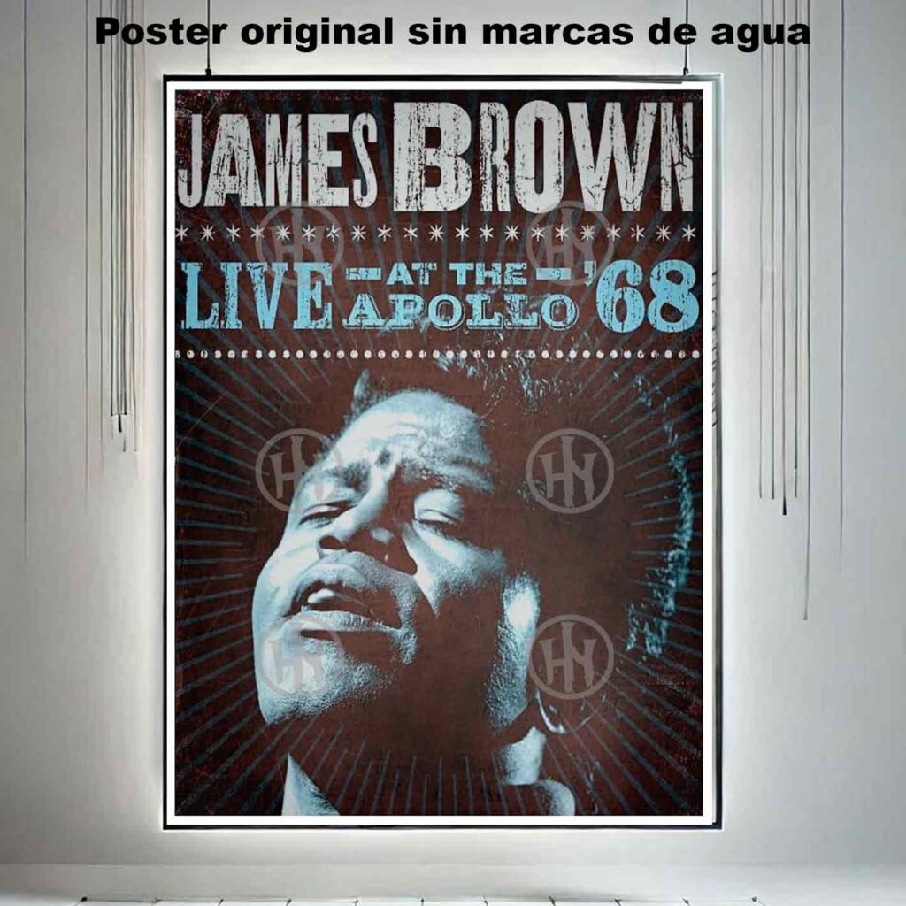 James Brown Póster