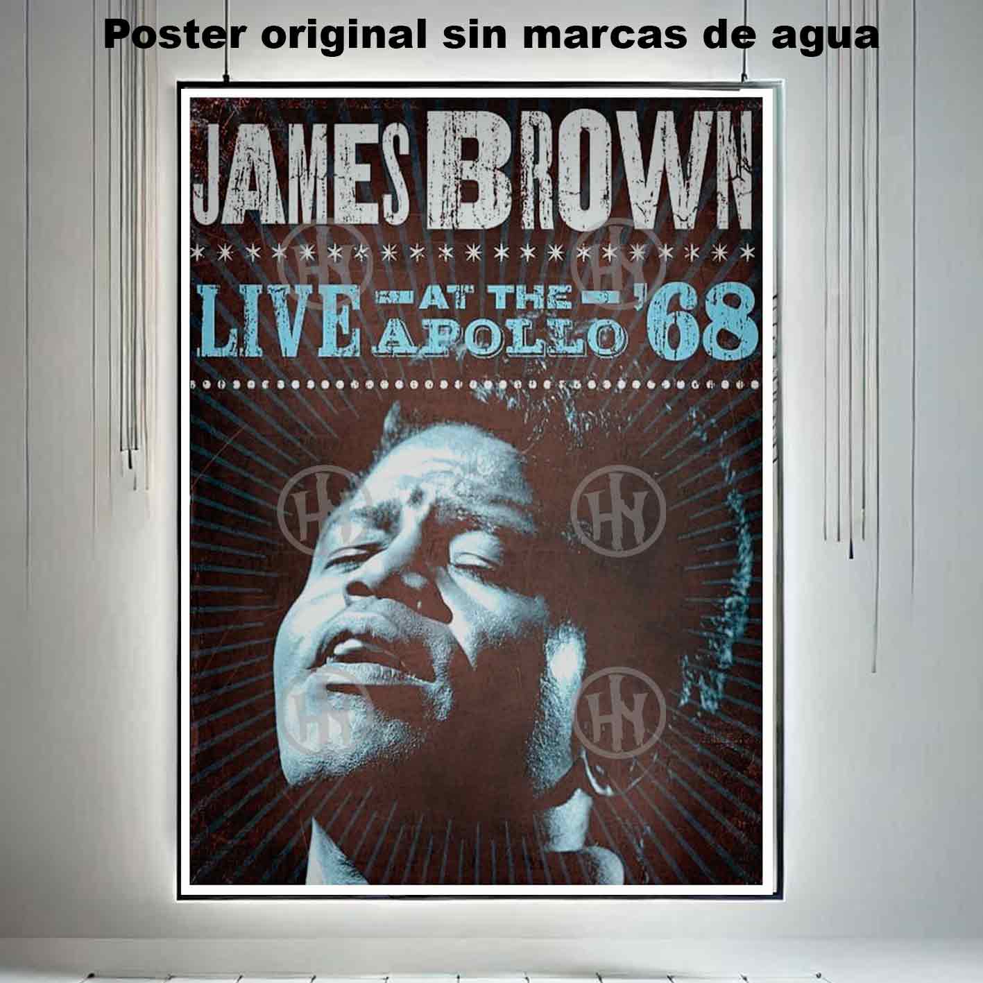 James Brown Póster: imagen 3