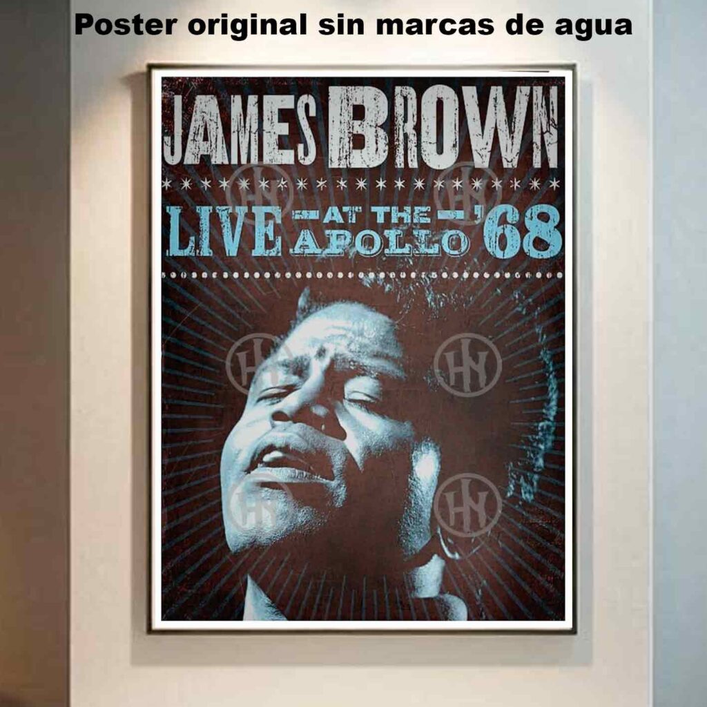 James Brown Póster