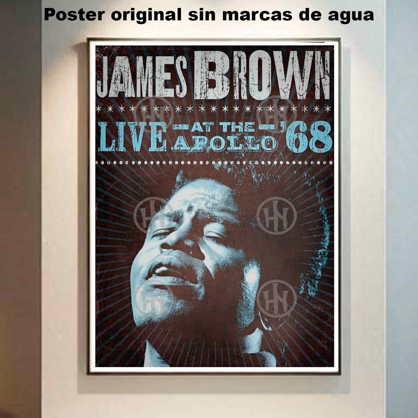 James Brown Póster: imagen 6