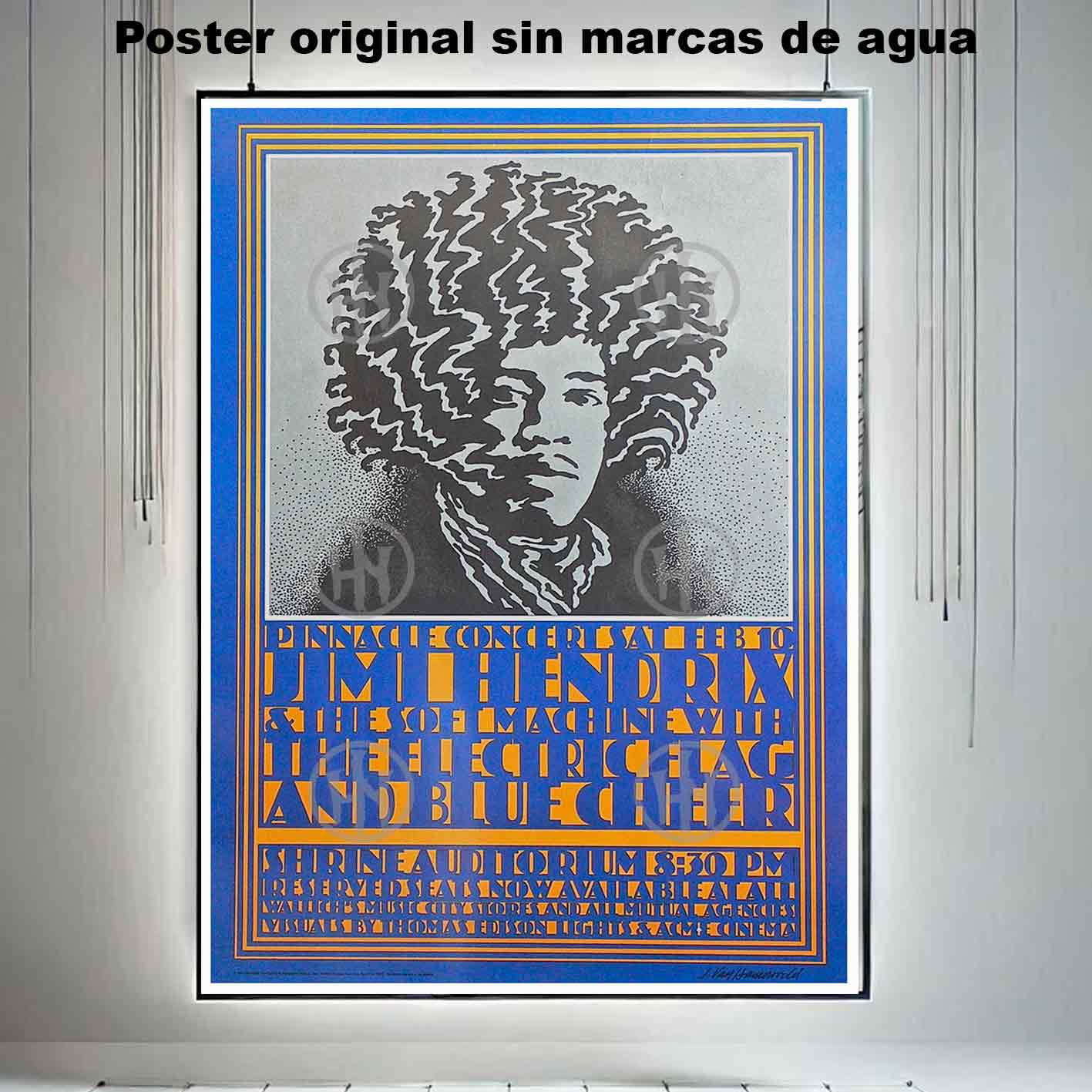 Jimi Hendrix Póster: imagen 3