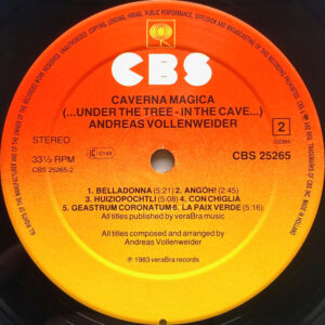 Andreas Vollenweider, Caverna Magica (...Under The Tree - In The Cave...) - LP: imagen 4