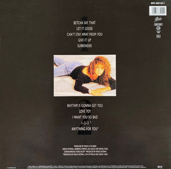 Miami Sound Machine, Anything For You - LP