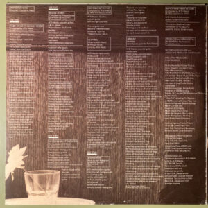 Al Di Meola, Splendido Hotel - LP: imagen 2