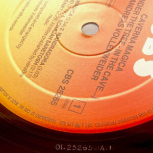 Andreas Vollenweider, Caverna Magica (...Under The Tree - In The Cave...) - LP: imagen 5