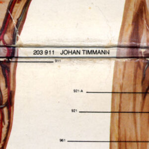 Johan Timman, Trip Into The Body - LP: imagen 9