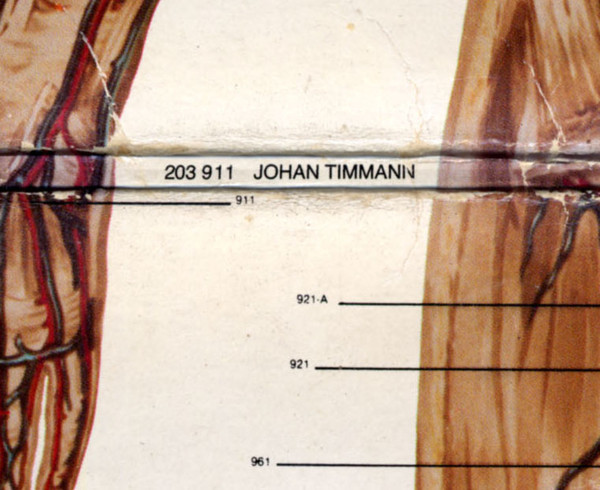 Johan Timman, Trip Into The Body - LP