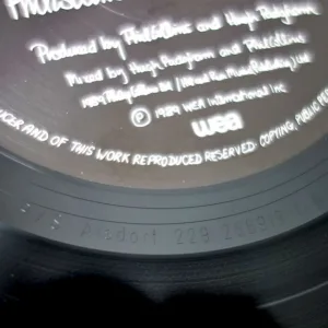 Phil Collins, ...But Seriously - LP: imagen 9