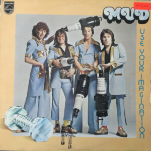 Mud, Use Your Imagination - LP
