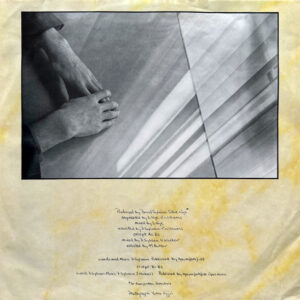 David Sylvian, Brilliant Trees - LP: imagen 6