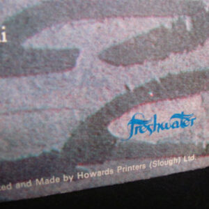 Cat Stevens, Teaser And The Firecat - LP: imagen 8