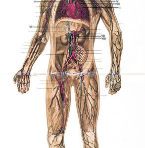 Johan Timman, Trip Into The Body - LP: imagen 2