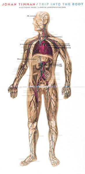 Johan Timman, Trip Into The Body - LP