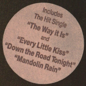 Bruce Hornsby And The Range, The Way It Is - LP: imagen 8