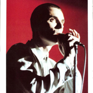 Talking Heads, Stop Making Sense - LP: imagen 10