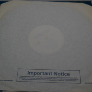 Sex Pistols, The Original Pistols Live - LP: imagen 5