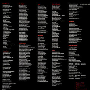 Nik Kershaw, The Riddle - LP: imagen 5