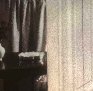 Steely Dan, Greatest Hits (1972-1978) - LP: imagen 7