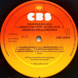 Andreas Vollenweider, Caverna Magica (...Under The Tree - In The Cave...) - LP: imagen 3