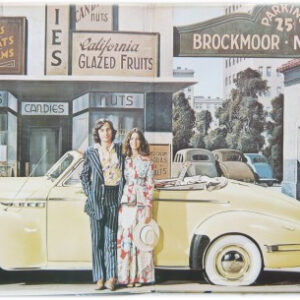 Ry Cooder, Into The Purple Valley - LP: imagen 2