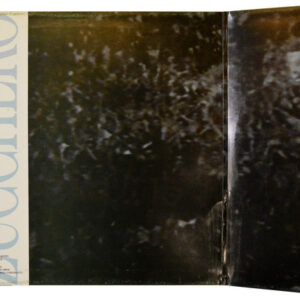 Zucchero, Zucchero - LP: imagen 2