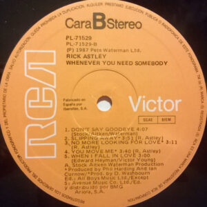 Rick Astley, Whenever You Need Somebody - LP: imagen 4