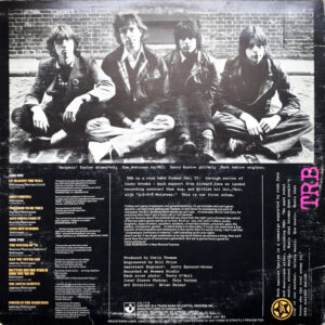 Tom Robinson Band, Power In The Darkness - LP: imagen 2