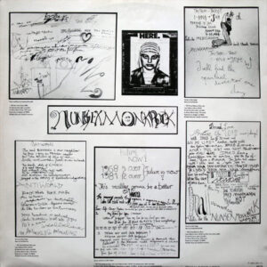Nina Hagen, Nunsexmonkrock - LP: imagen 6