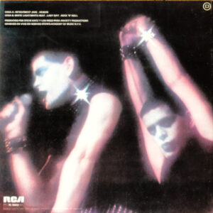 Lou Reed, Rock N Roll Animal - LP: imagen 4