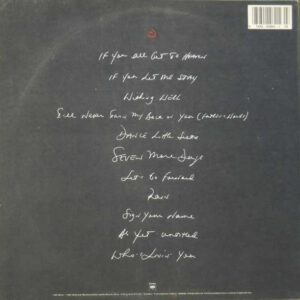 Terence Trent D'Arby, Introducing The Hardline According To Terence Trent D'Arby - LP: imagen 2
