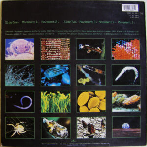 Vangelis, Soil Festivities - LP: imagen 2