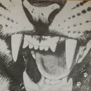 New Adventures, Wild Cats Moanin' - LP: imagen 5