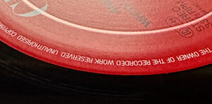Andreas Vollenweider, White Winds (Seeker's Journey) - LP: imagen 6