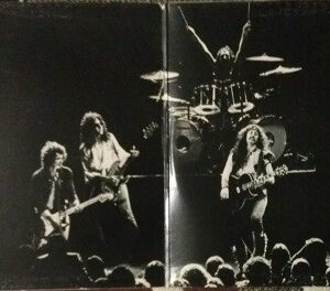Ted Nugent, Cat Scratch Fever - LP: imagen 3